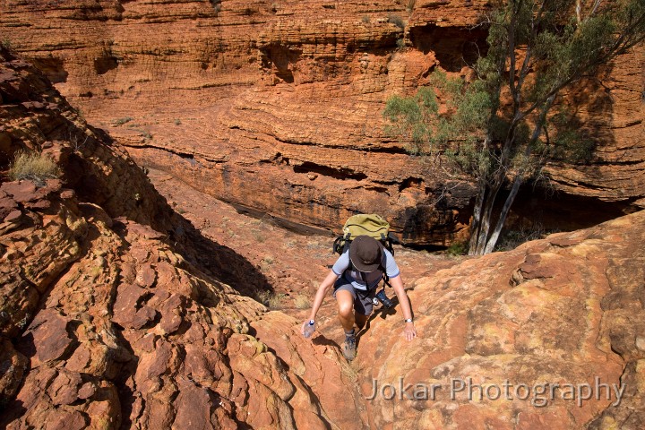 Kings Canyon_20070919_197.jpg